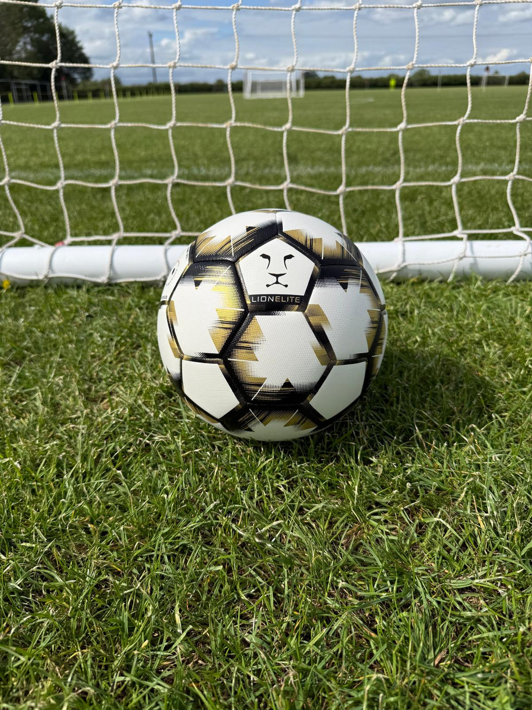 Lion Elite Training / Match Football