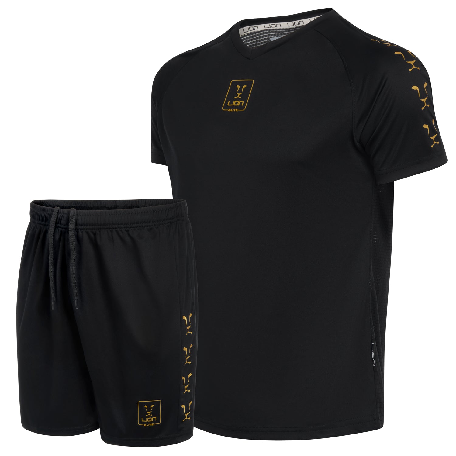 Elite Signature Football Training Kit for Kids and Adults – Lion