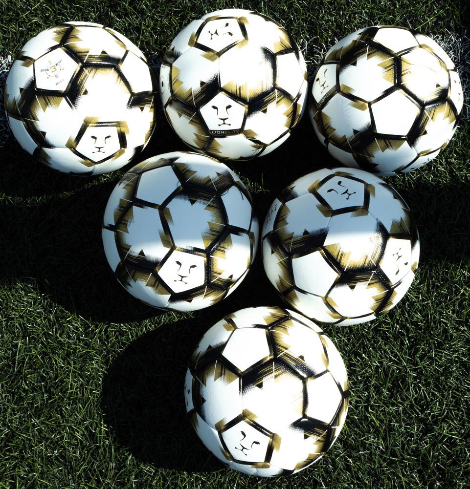 Lion Elite Training / Match Football